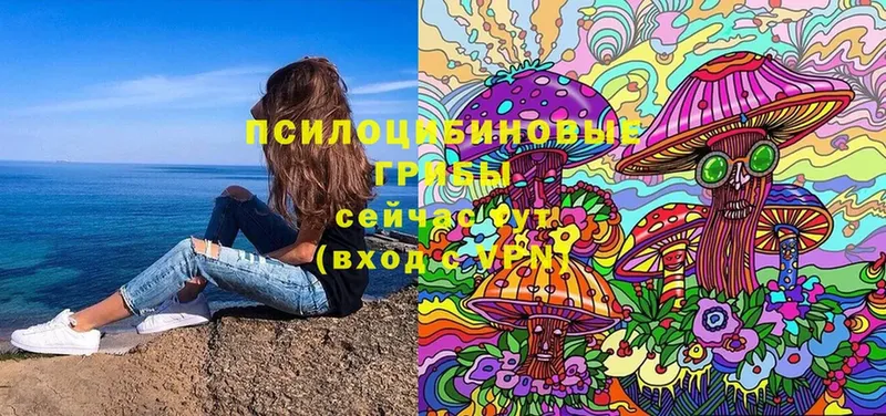 Галлюциногенные грибы Psilocybe  Энем 